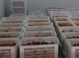 保鮮庫和冷凍庫的區別。