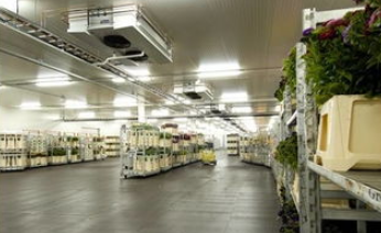 樱桃视频在线播放設備廠家