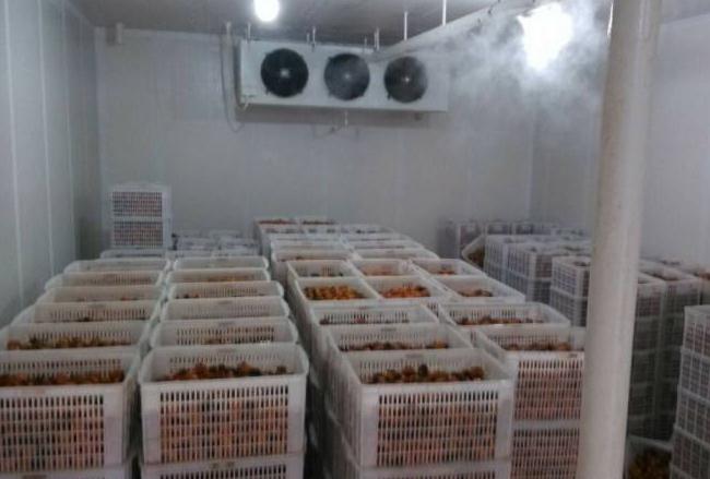 樱桃视频在线播放安裝