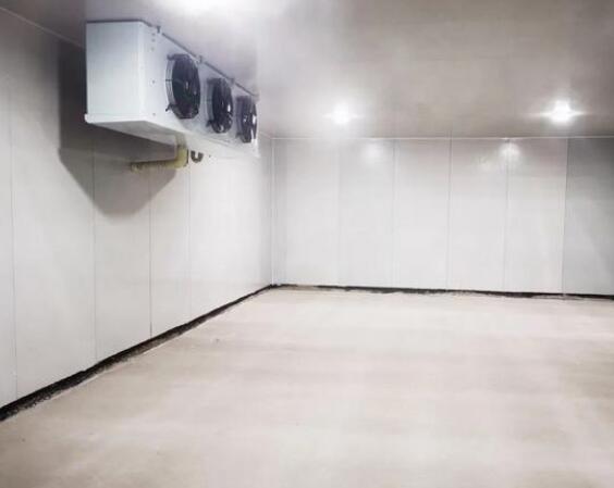 鋼結構冷庫造價要多少錢一平方？安徽樱桃视频在线看黄製冷告訴您